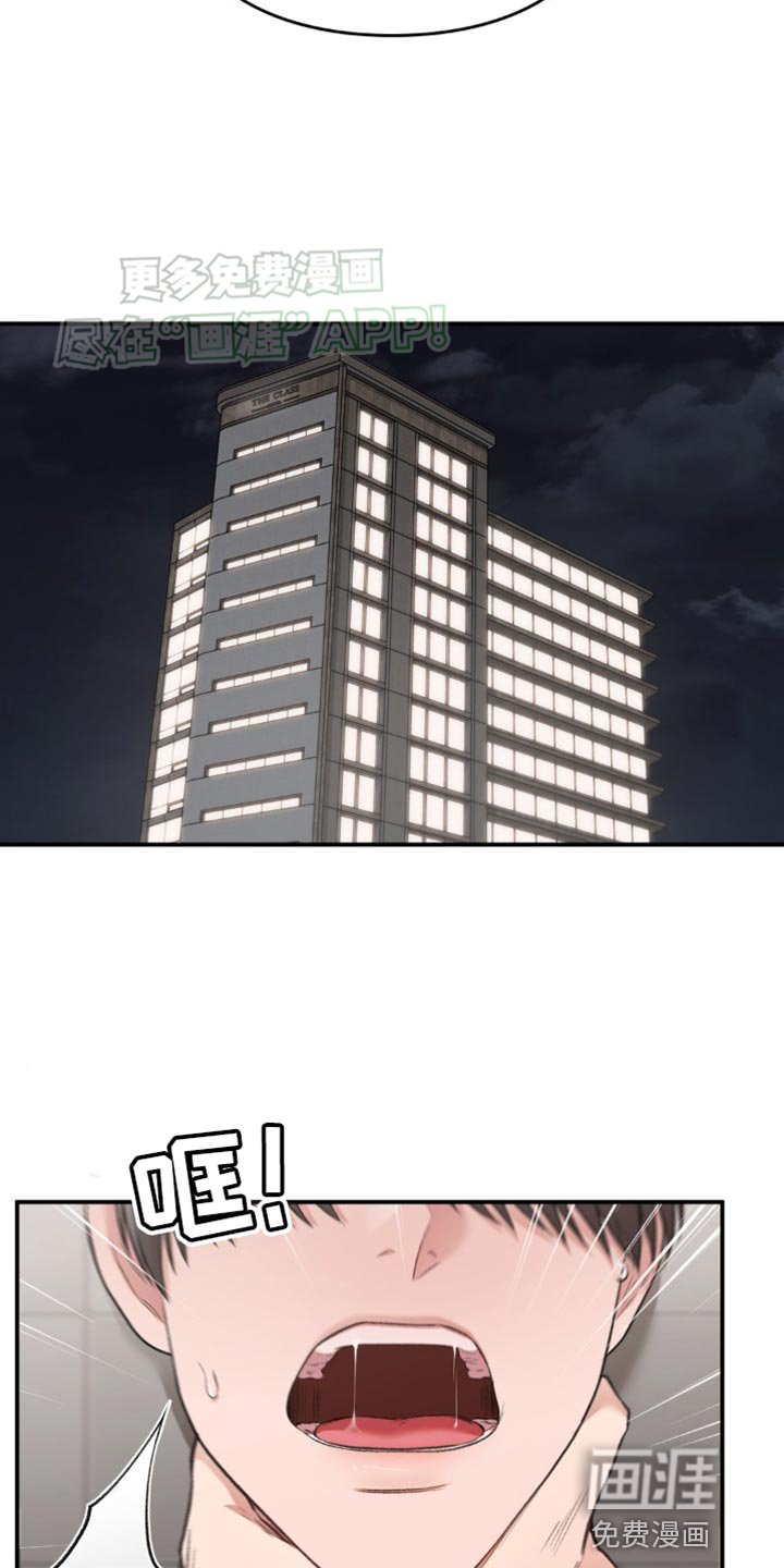 第65章：代理人