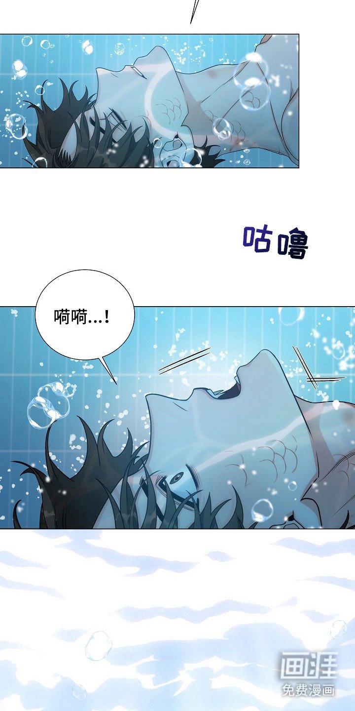 第14章：利用我吧
