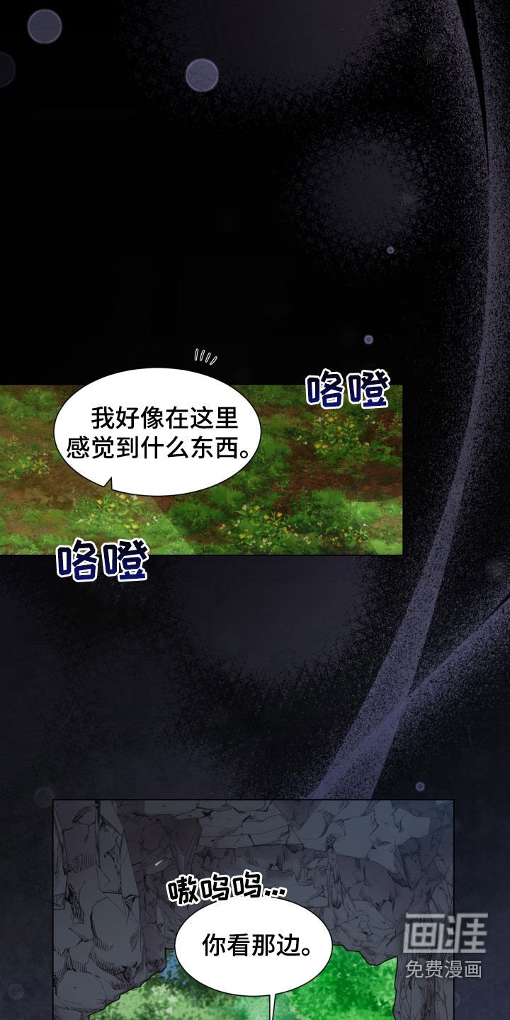 第23章：蟒蛇蛋