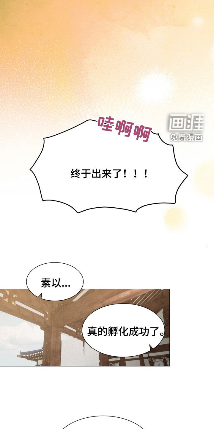 第24章：成功孵化
