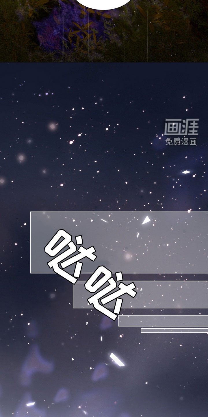 第27章：搜寻