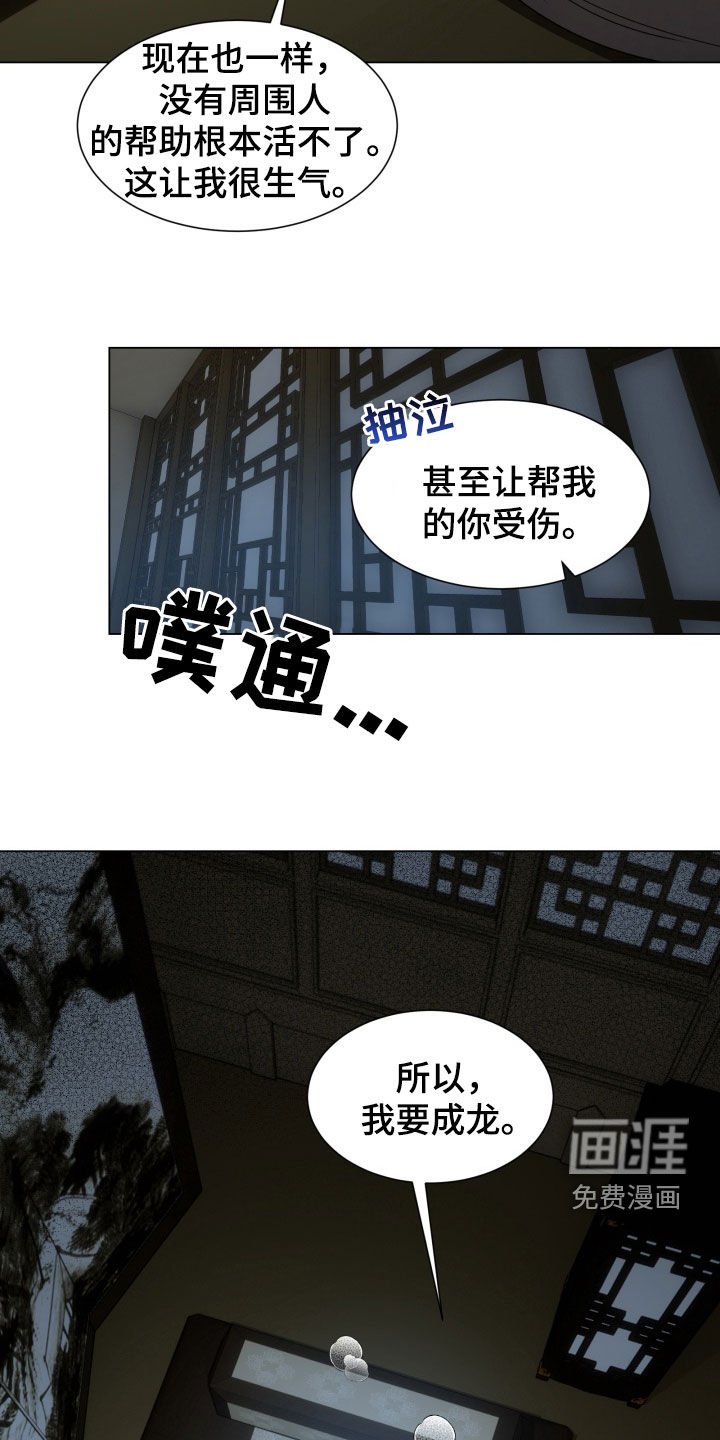 第28章：我要成龙