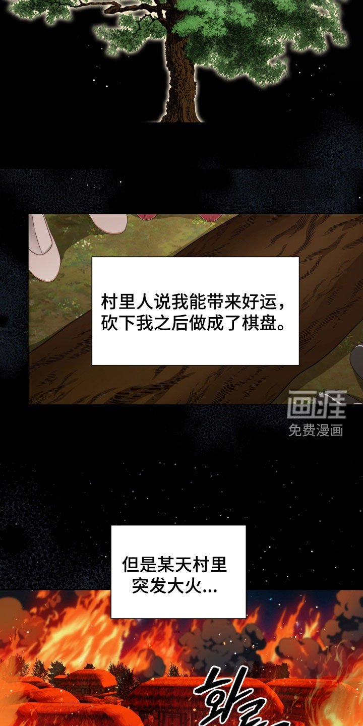 第31章：打个赌
