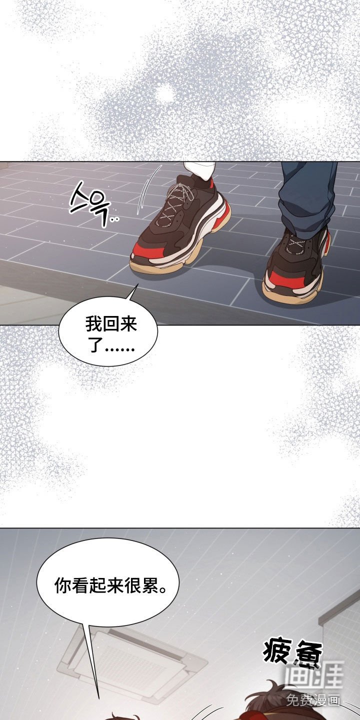 第36章：撒谎