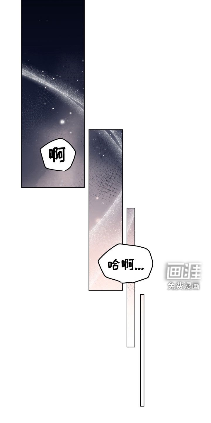 第36章：撒谎
