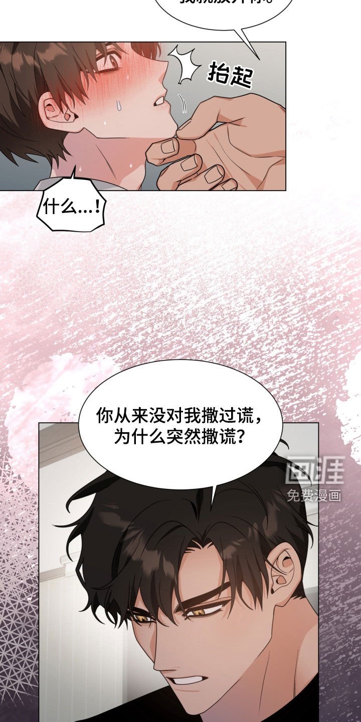 第36章：撒谎