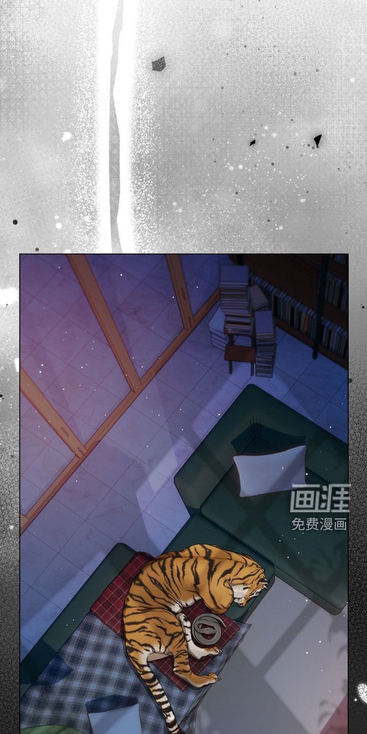 第37章：从那天开始的