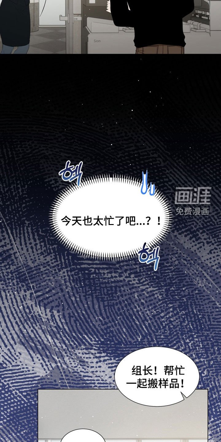 第42章：又见面了