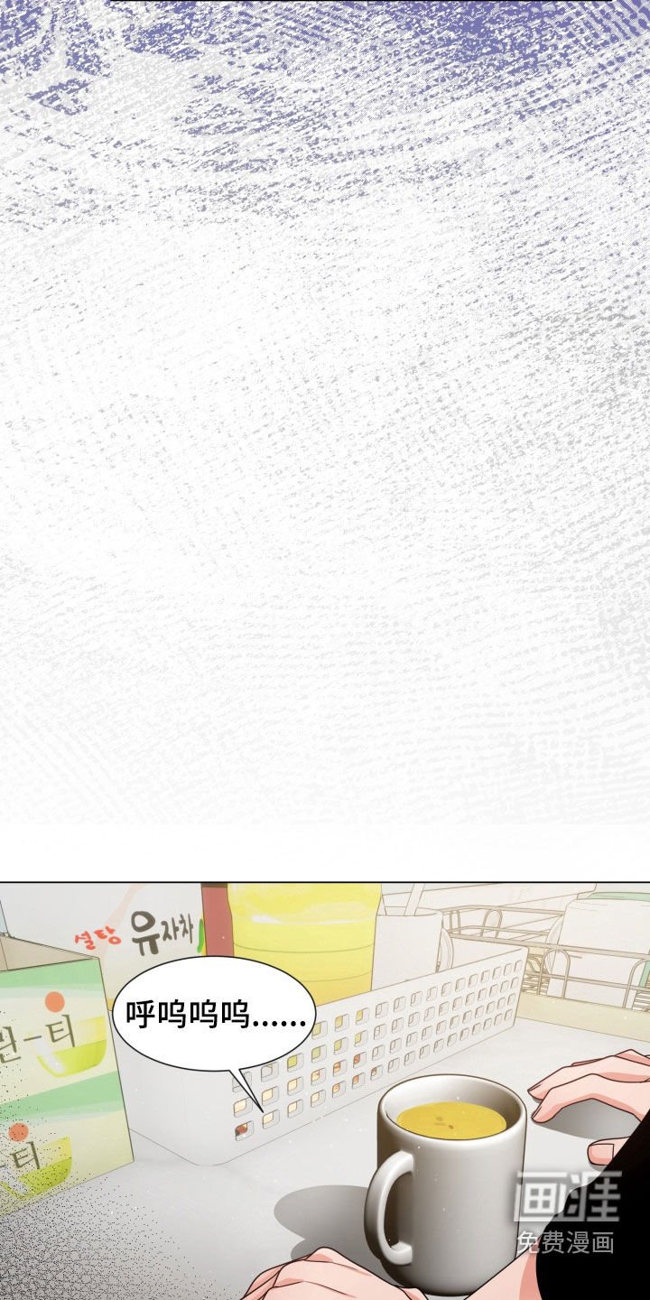 第42章：又见面了