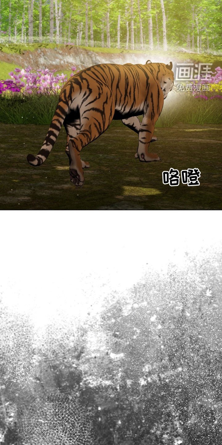 第44章：提问