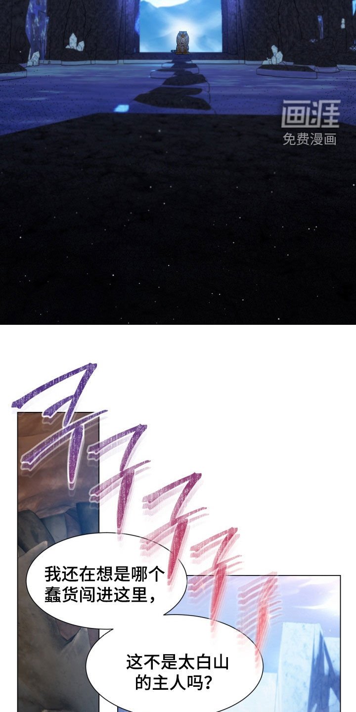 第44章：提问