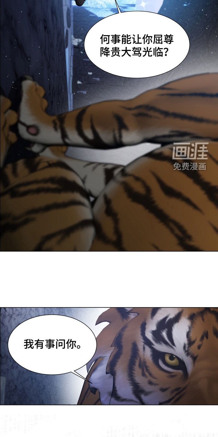 第44章：提问