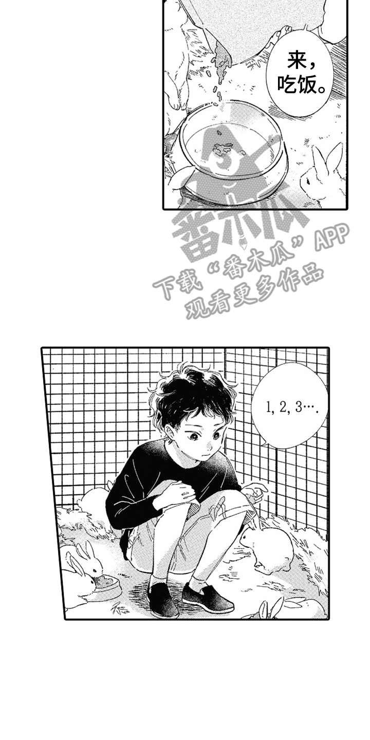 第13章：无法理解