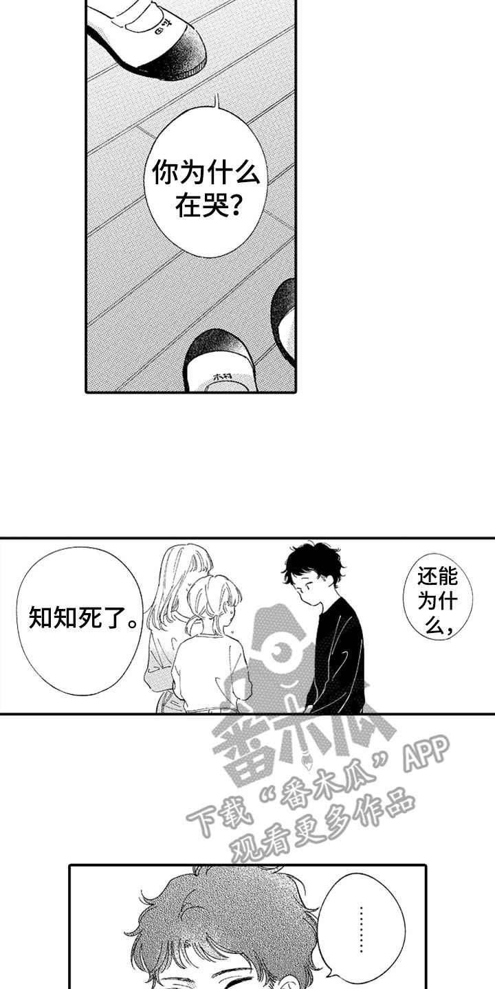 第13章：无法理解