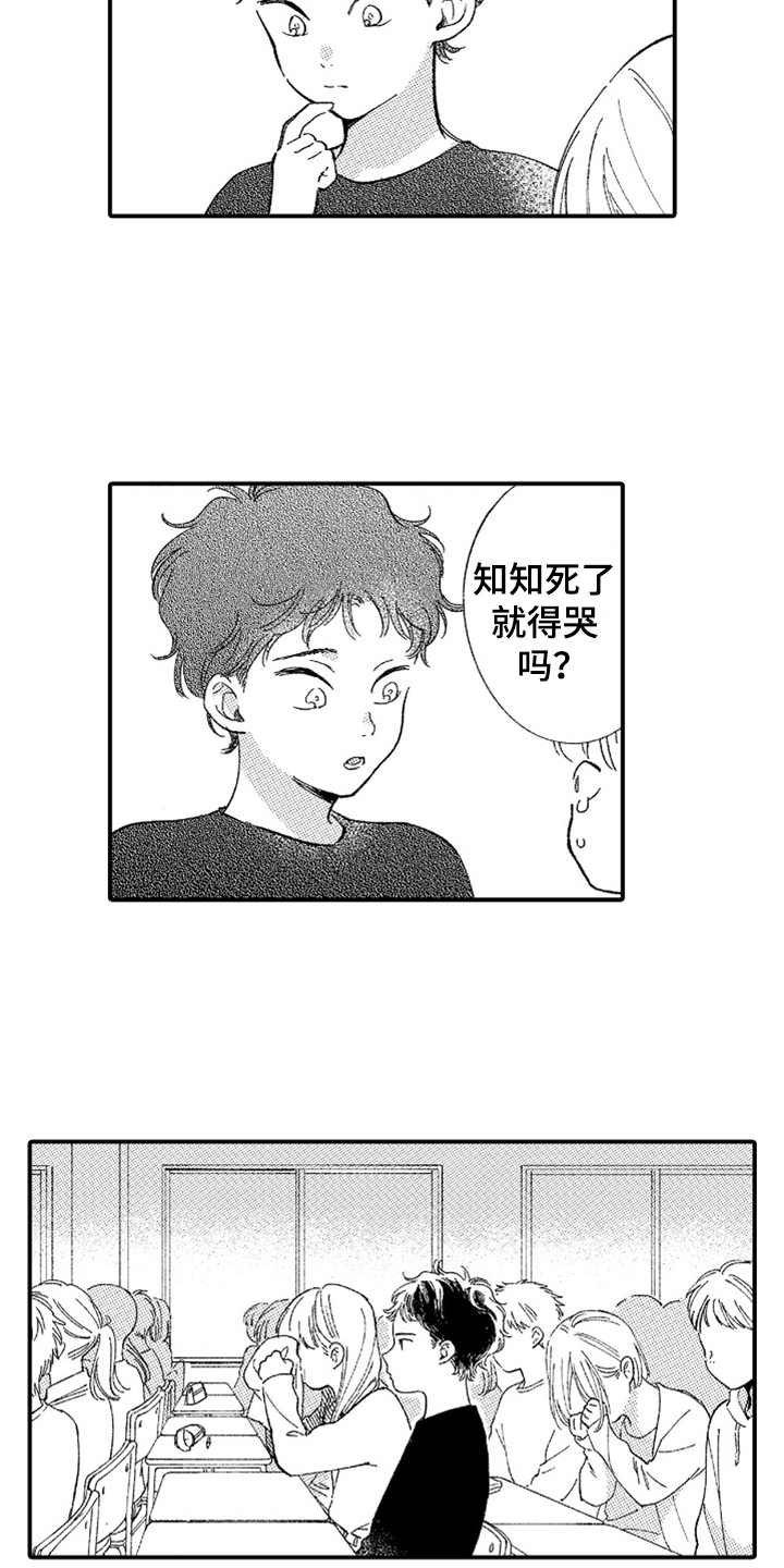 第13章：无法理解