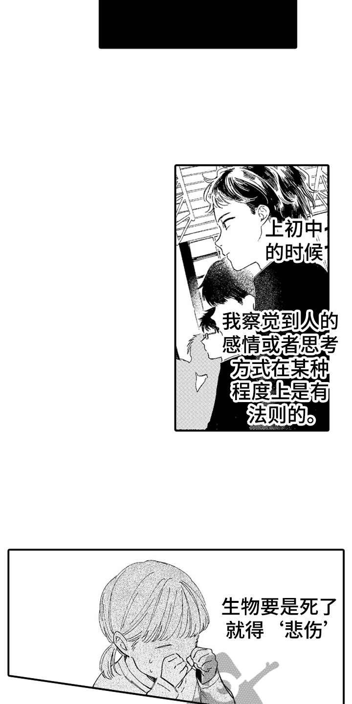 第13章：无法理解