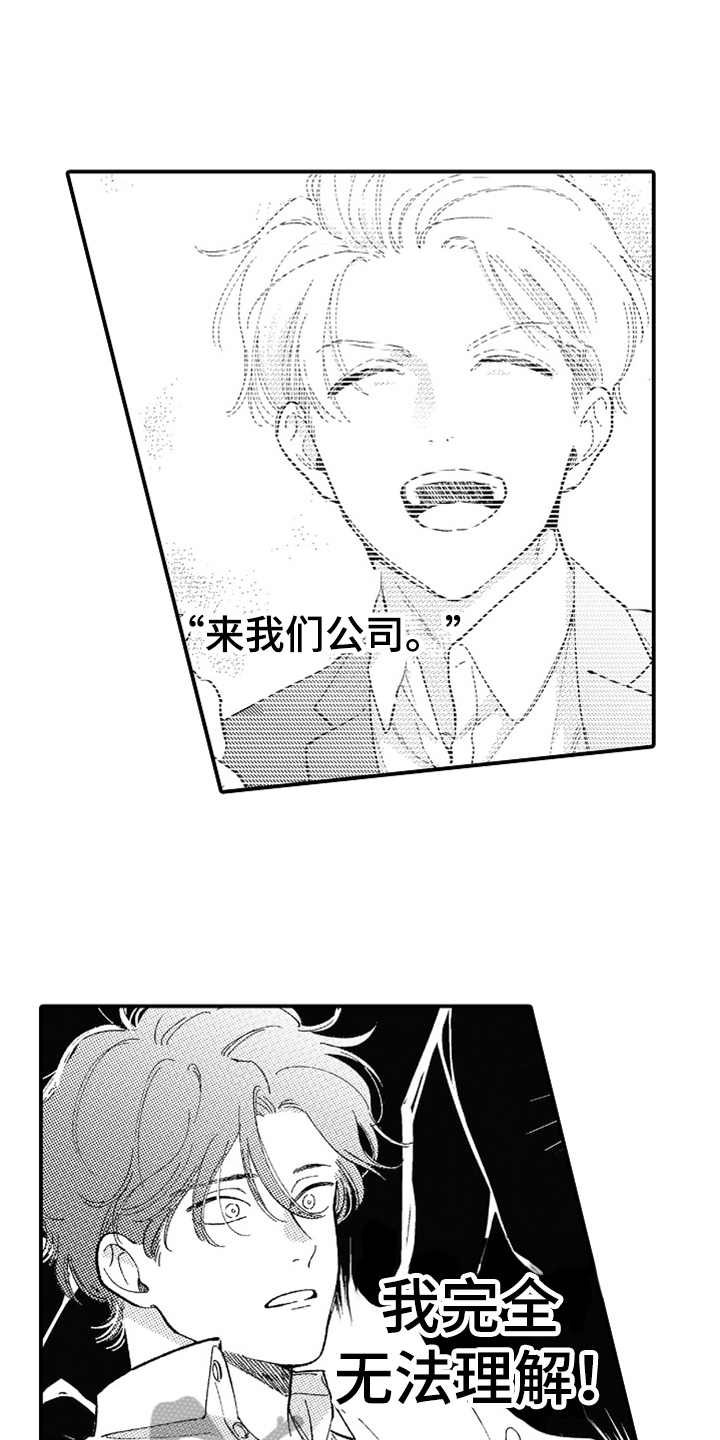 第13章：无法理解
