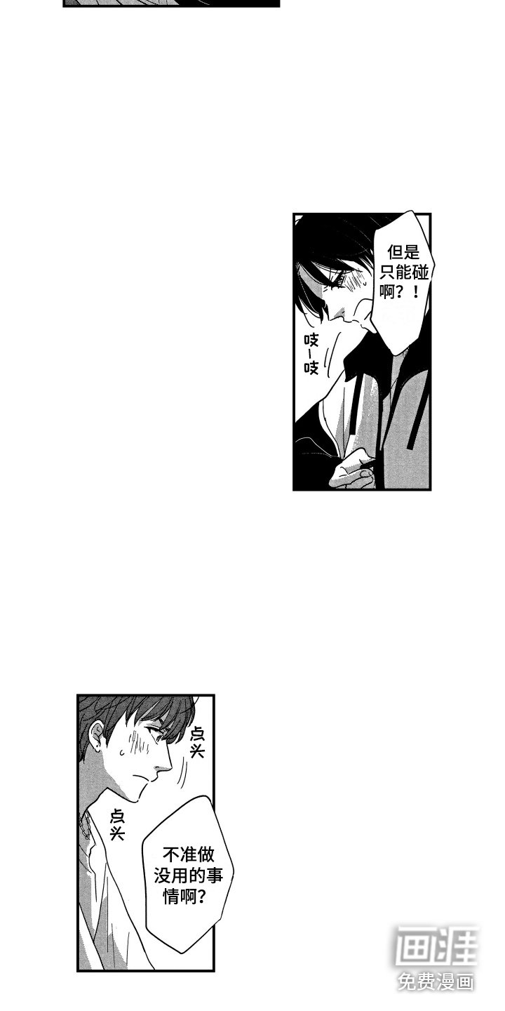 第12章：妥协