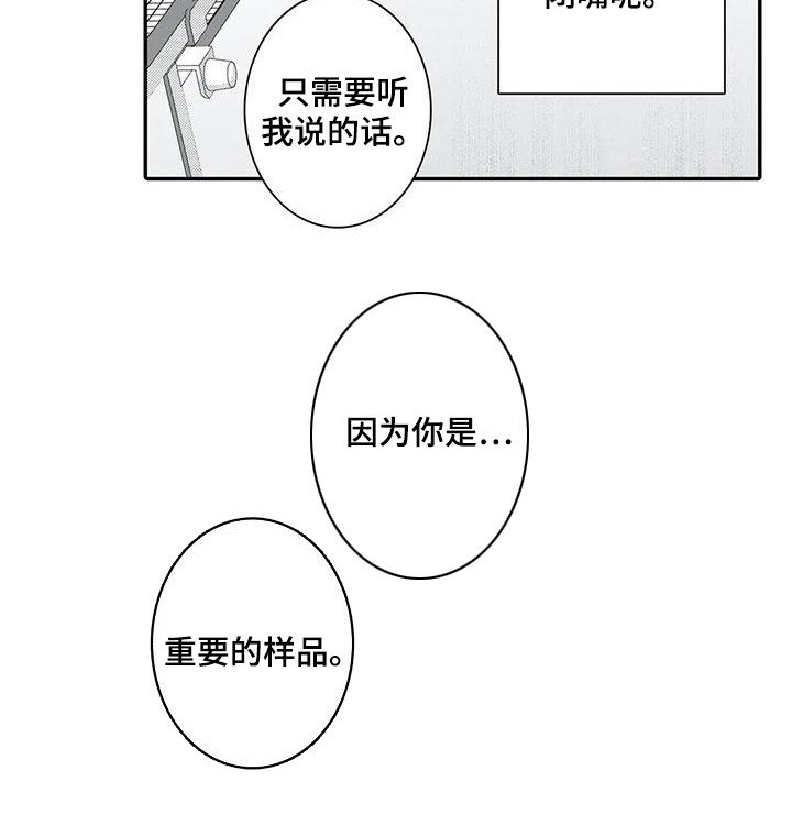 第10章：议论