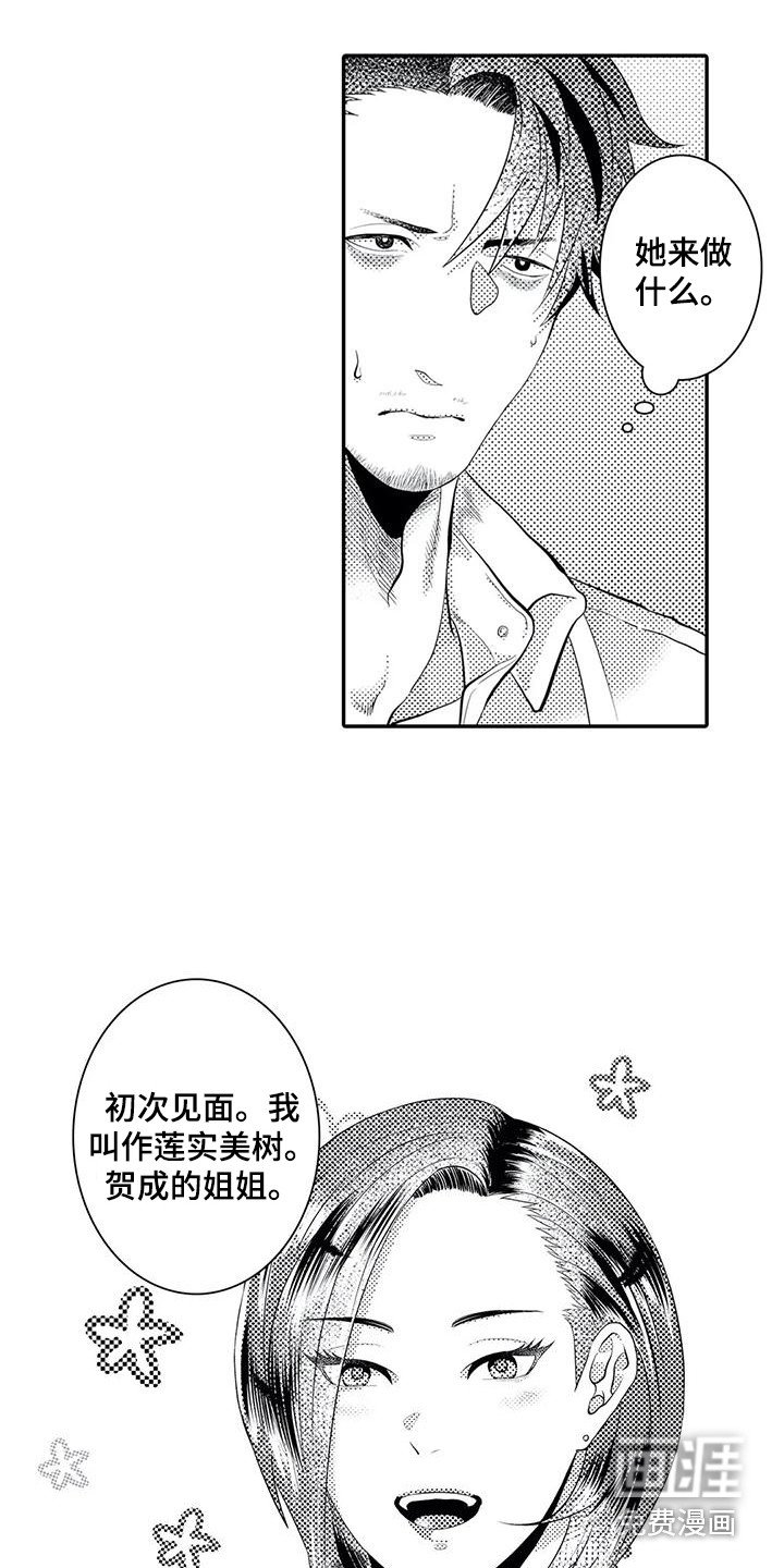 第15章：解释