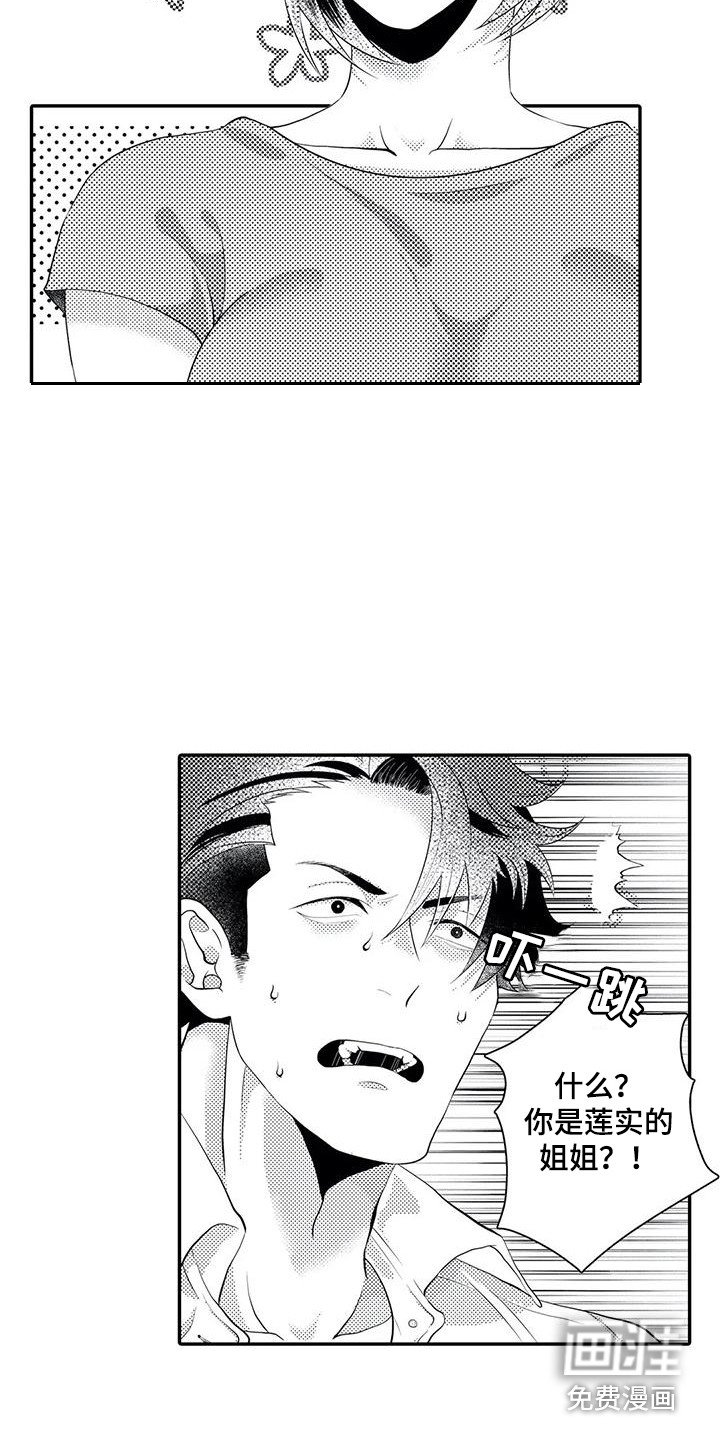 第15章：解释