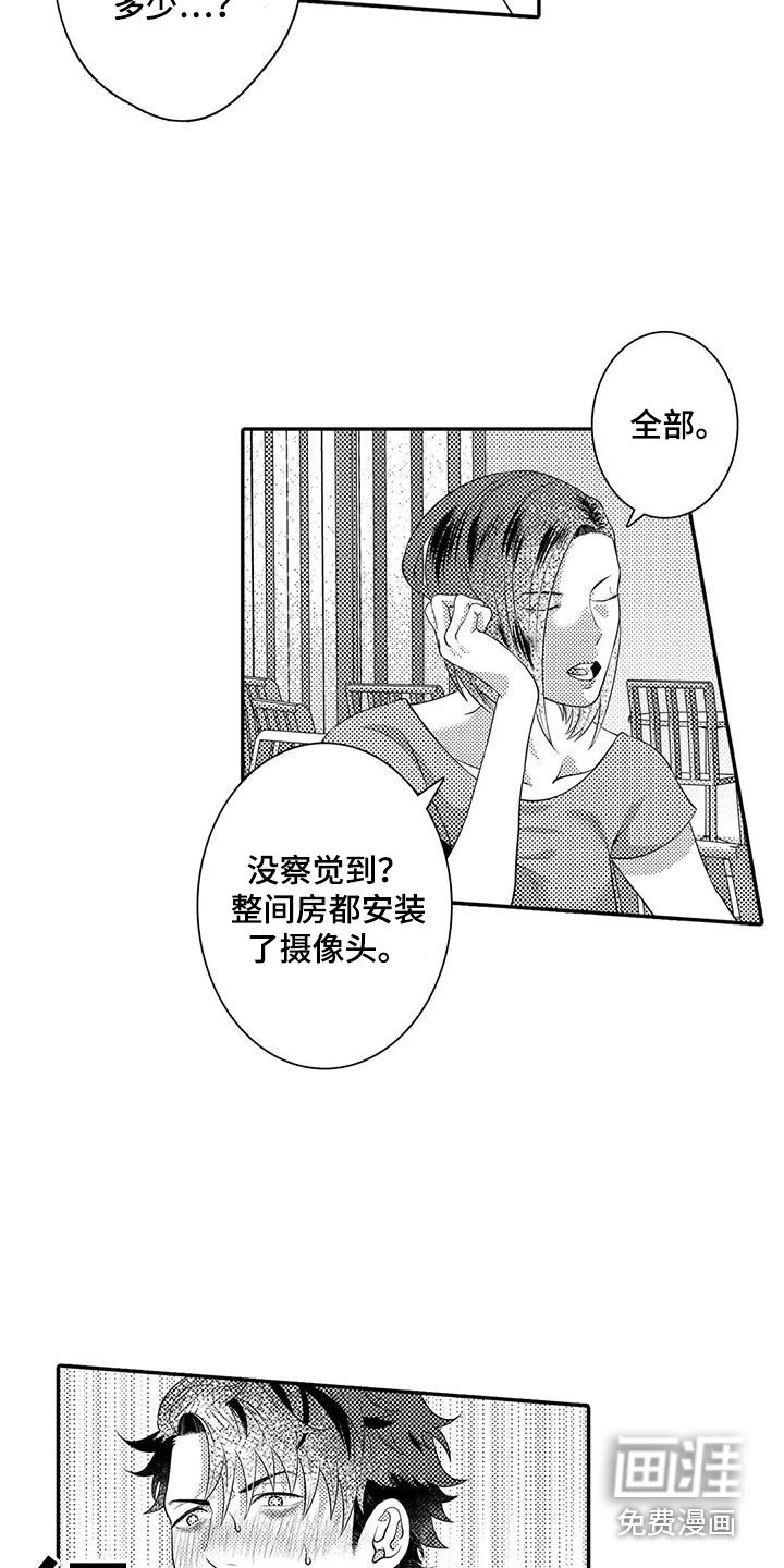第17章：不再插手