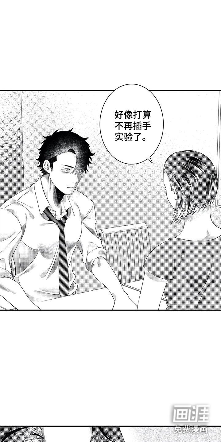 第17章：不再插手