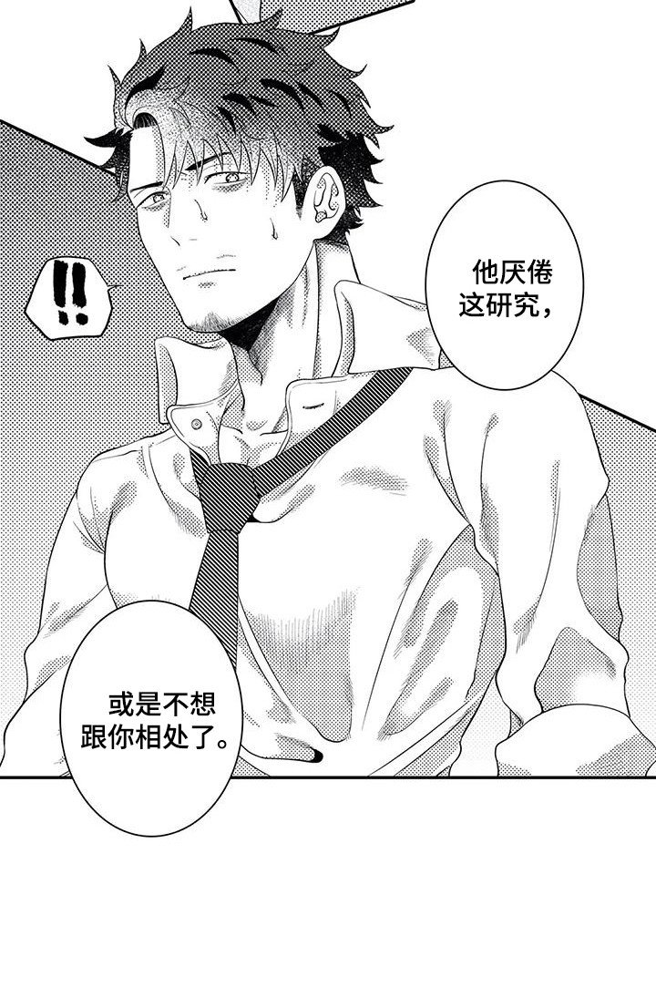 第17章：不再插手