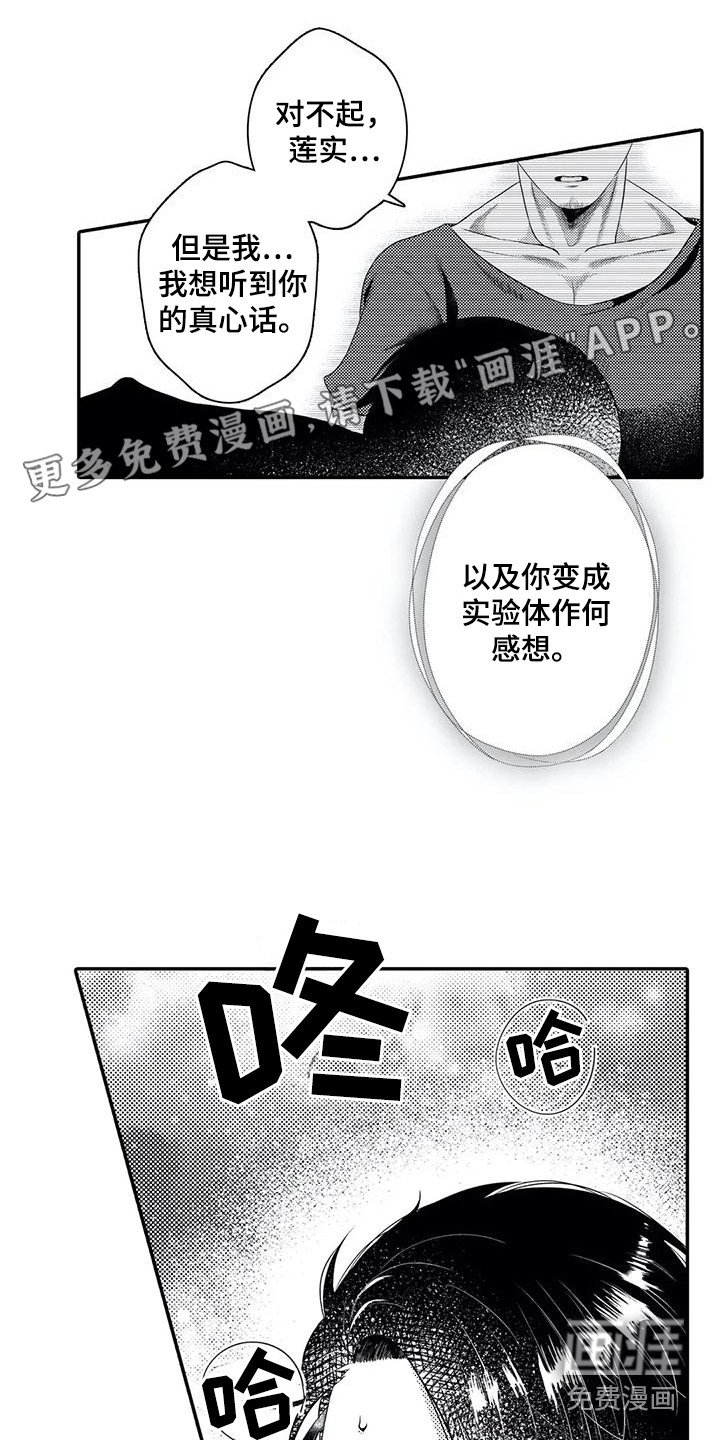 第19章：真心话