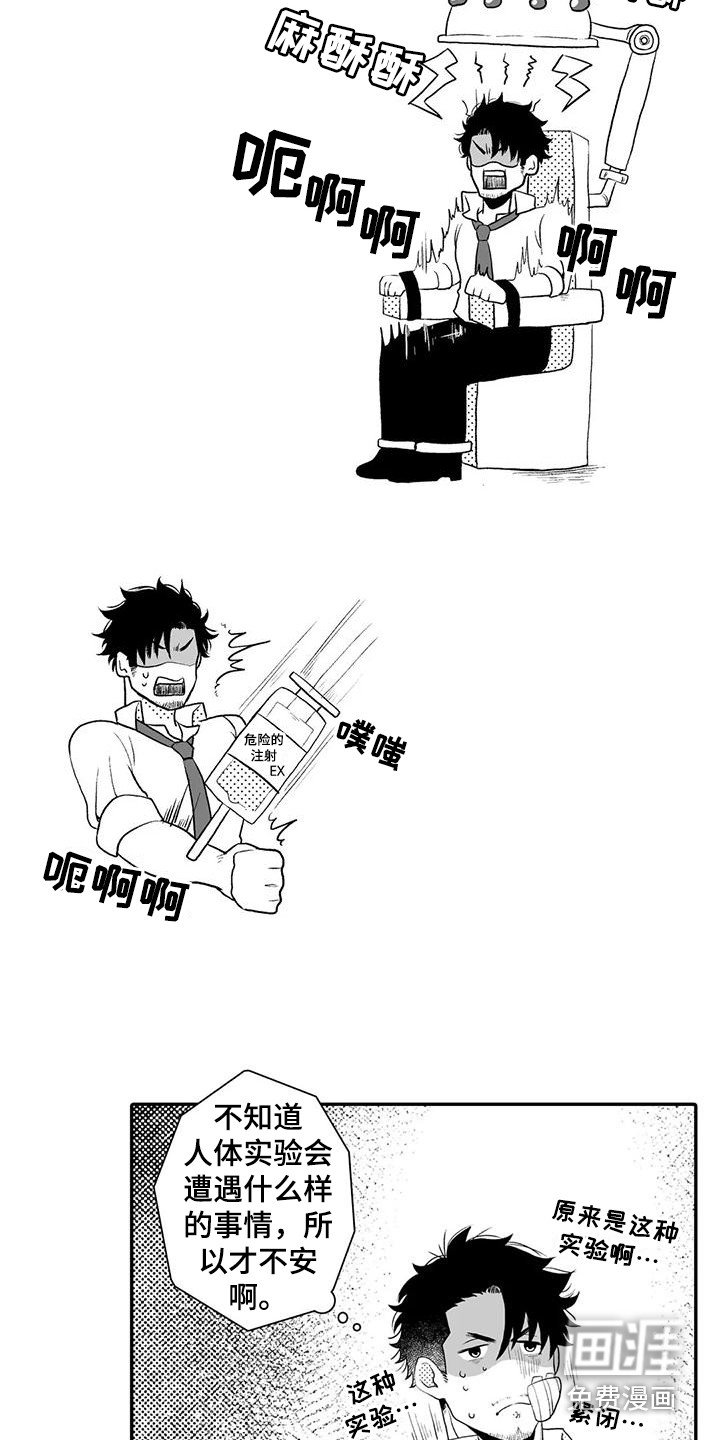 第4章：实验体