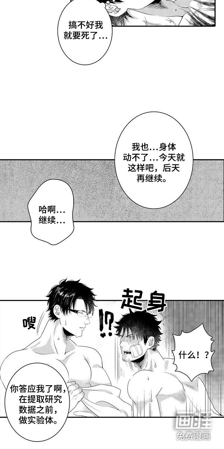 第6章：下次继续