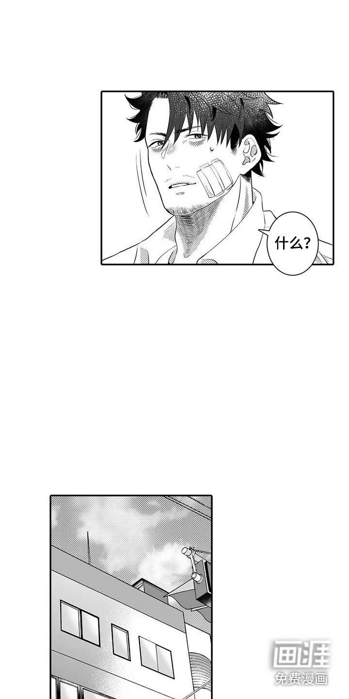 第9章：想要确认