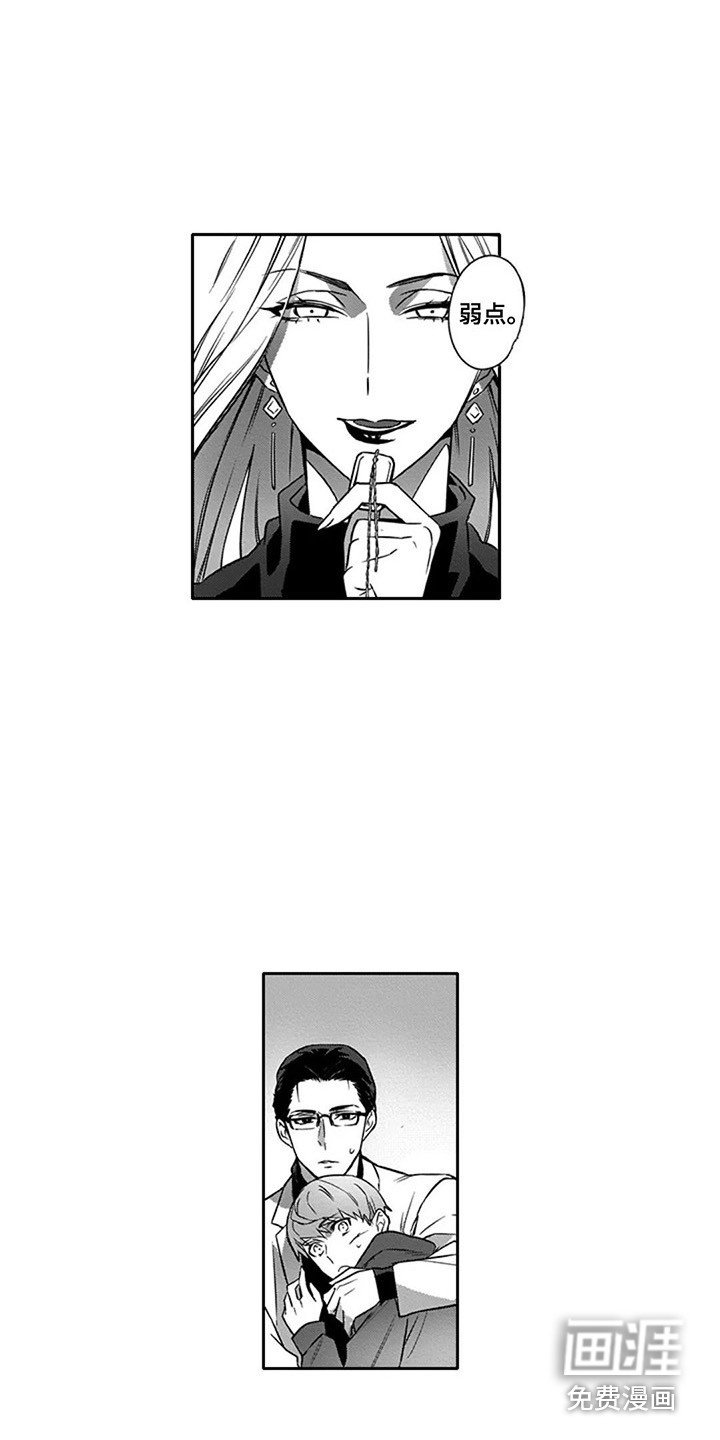 第11章：伪装
