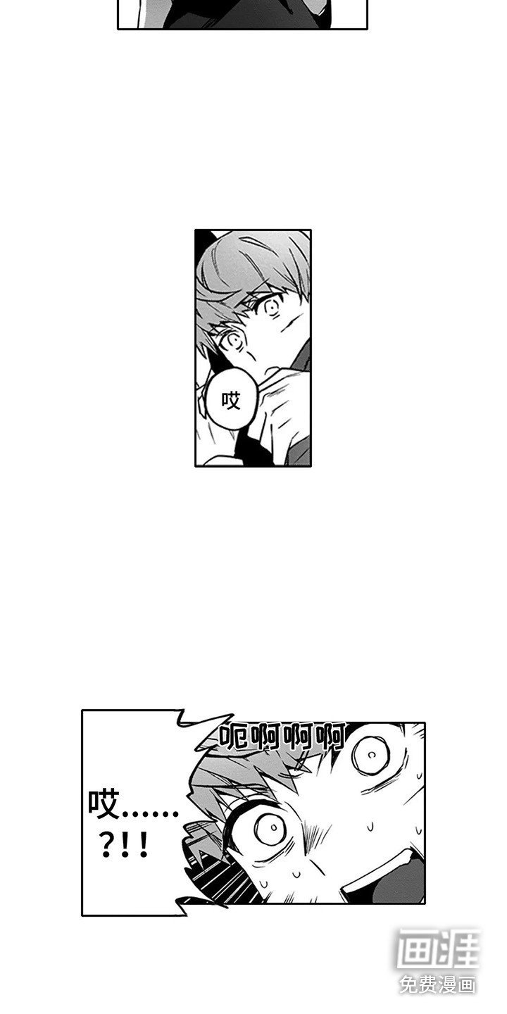 第11章：伪装