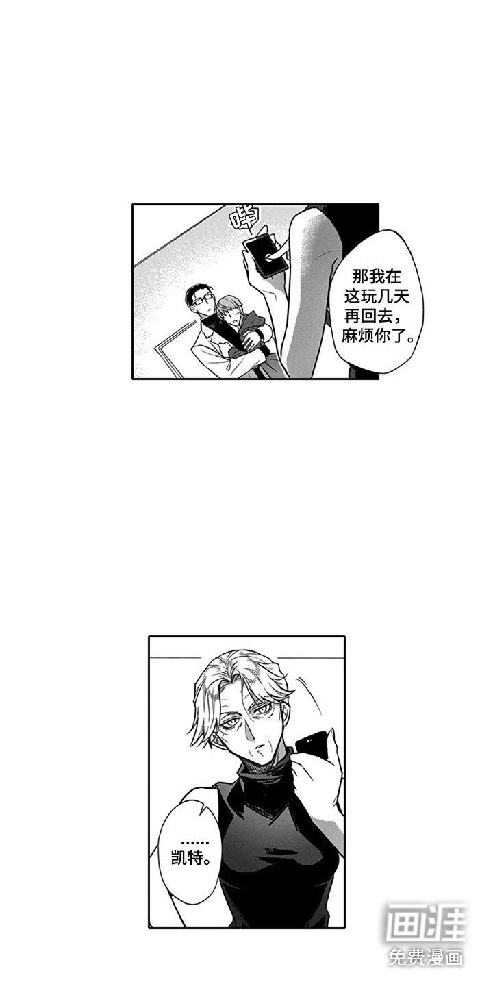第11章：伪装
