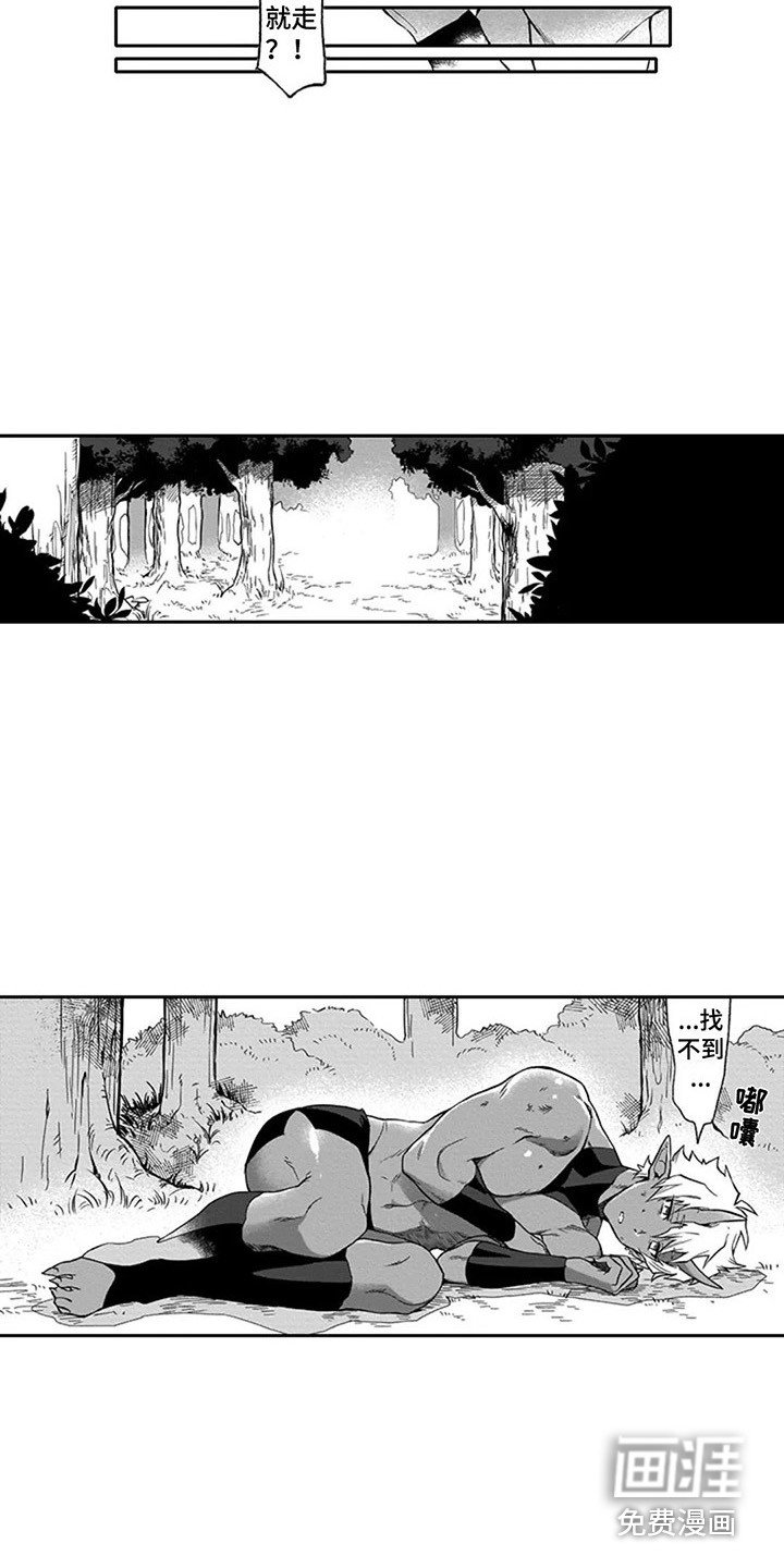 第14章：寻找