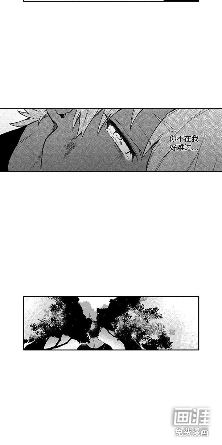 第14章：寻找