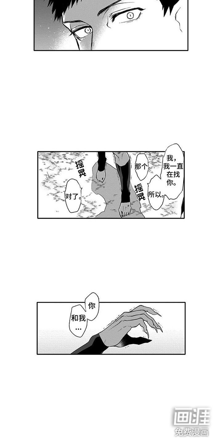 第14章：寻找