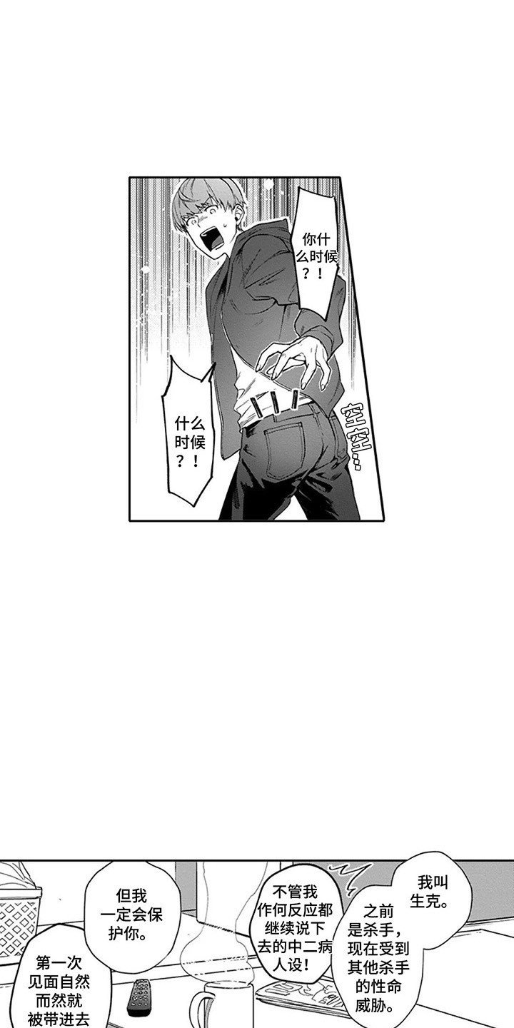 第3章：保镖