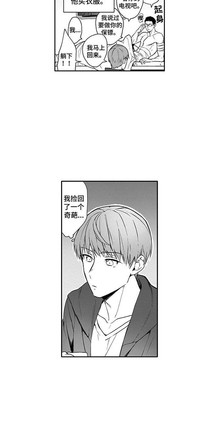 第3章：保镖
