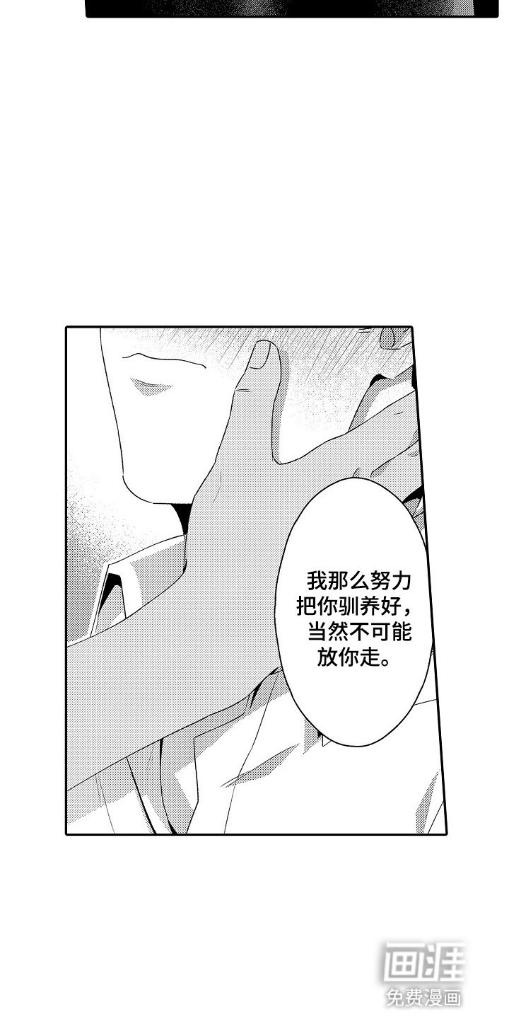 第15章：和好