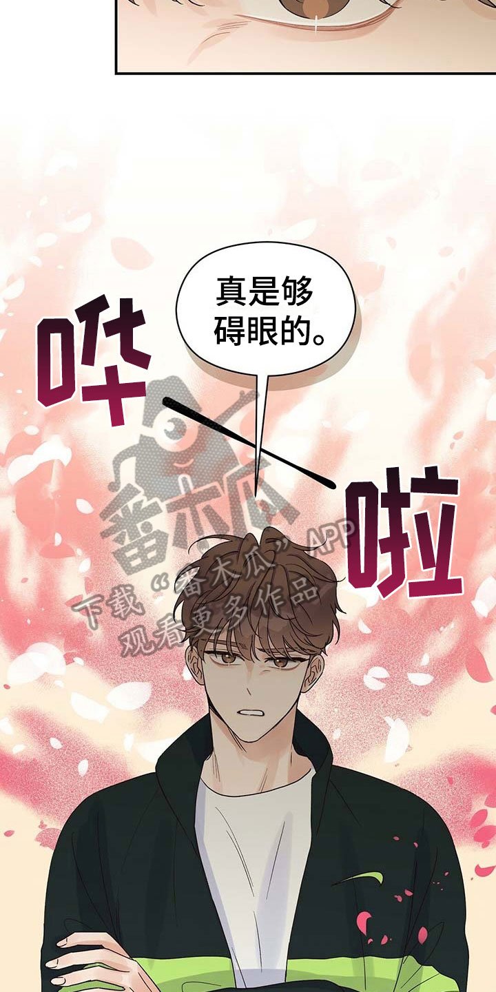 第19章：碍眼