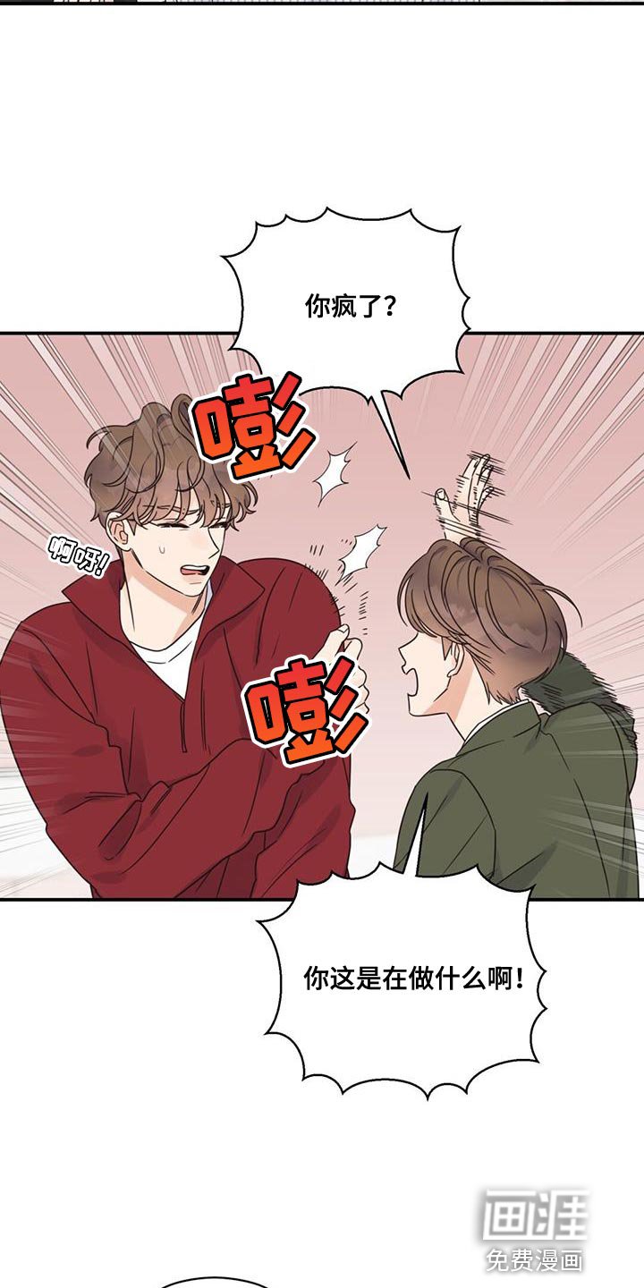 第77章：你们好好交往啊