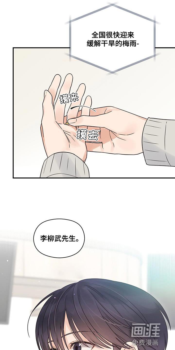 第81章：【番外】配偶