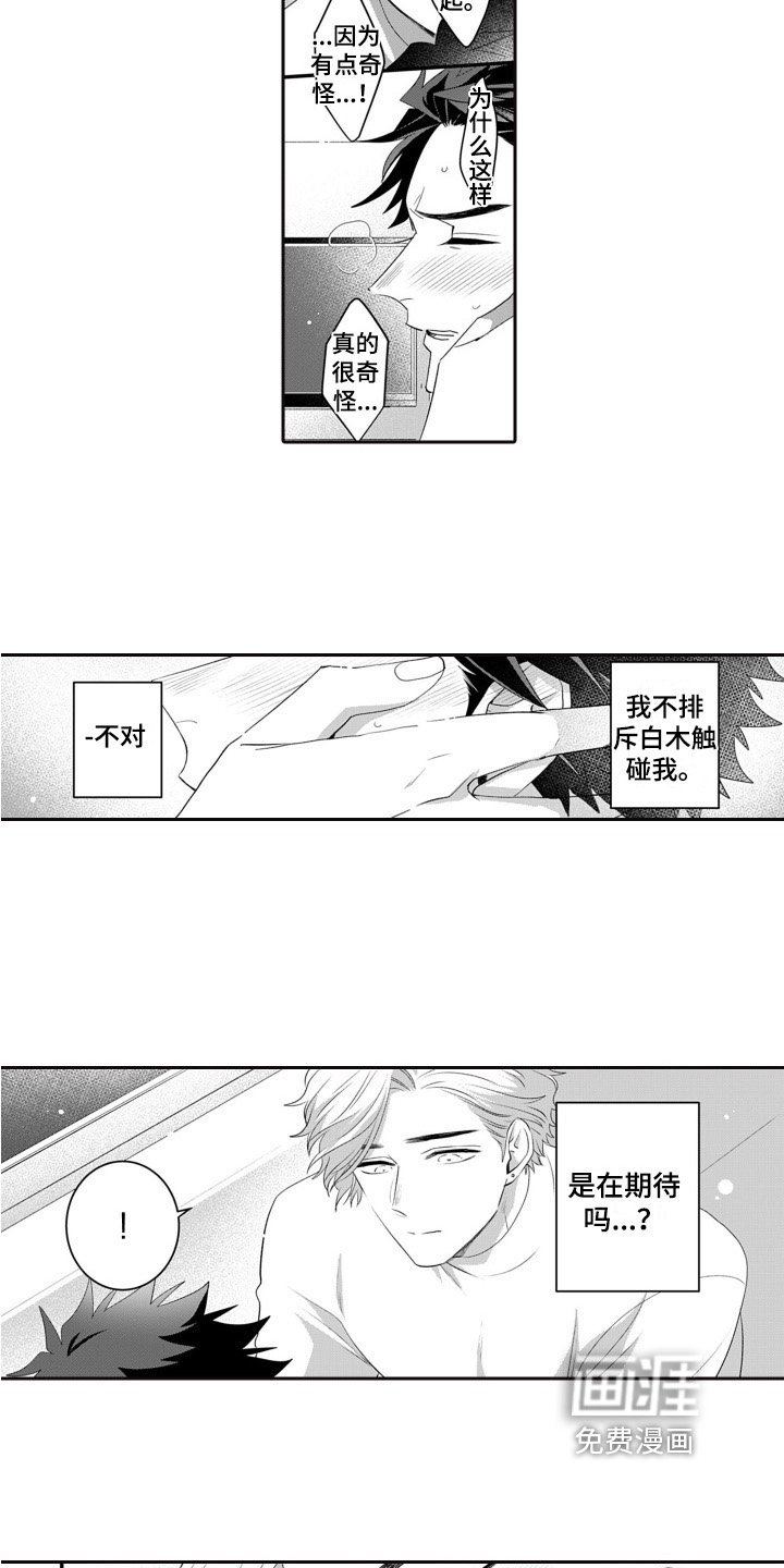 第9章：庆祝生日