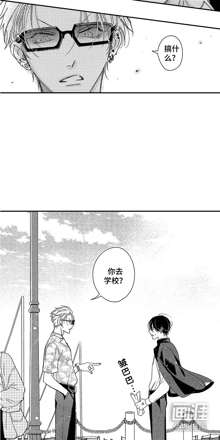 第5章：原则