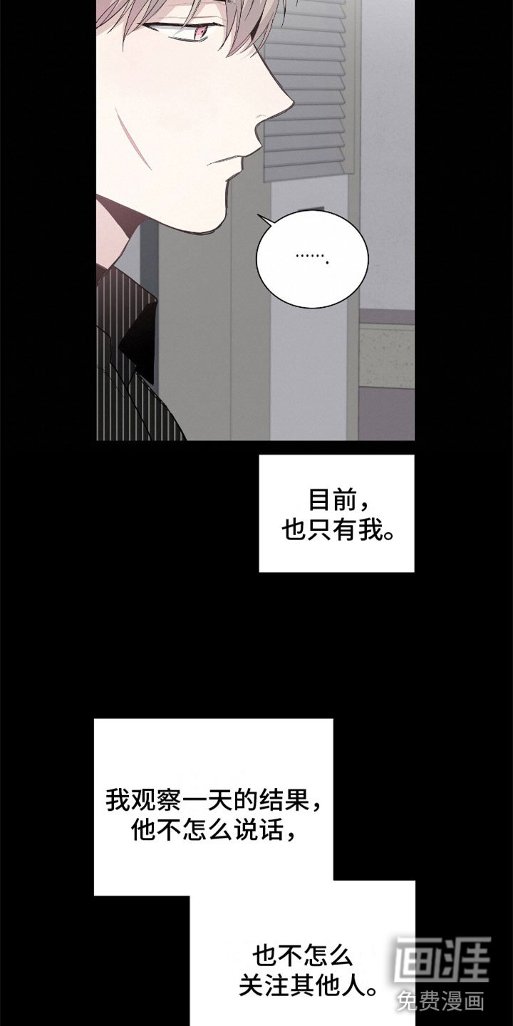 第10章：豹子