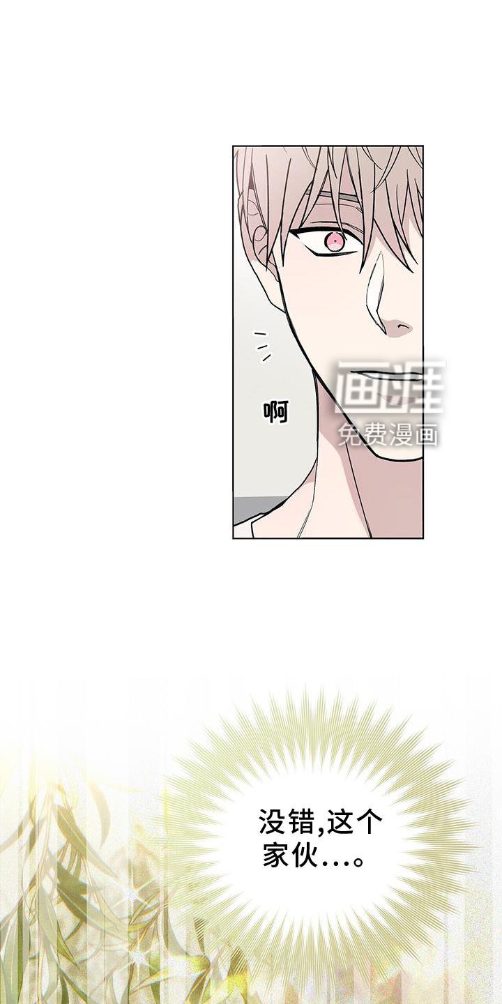 第15章：奇怪