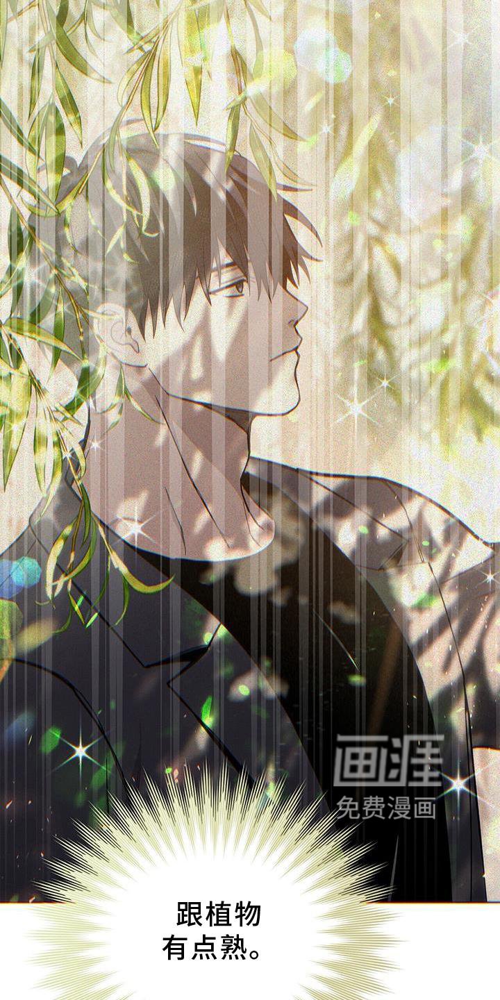 第15章：奇怪