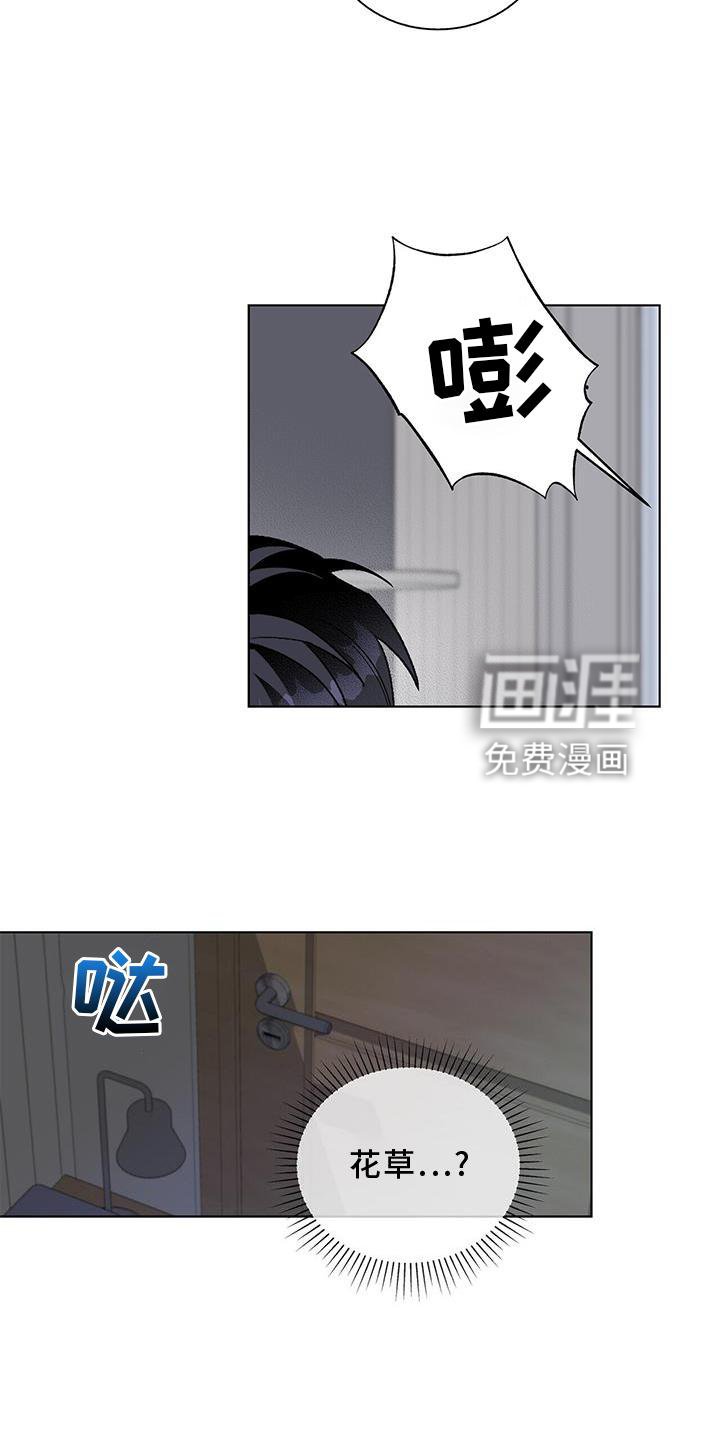 第15章：奇怪